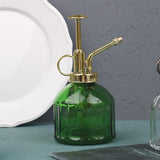 vaporisateur plante interieur