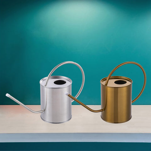 arrosoir d'intérieur en inox