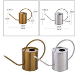Indoor stainless steel watering can