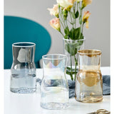 vases plantes d'intérieur