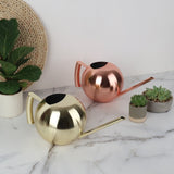 Arrosoir Inox 1 Litre