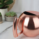 1 Liter Stainless Steel Watering Can