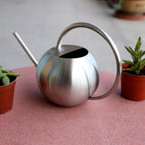 Arrosoir en acier inoxydable