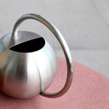 Steel Watering Can