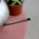 Steel Watering Can