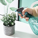 vaporisateur pour plantes d'intérieur