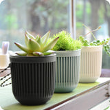 pot arrosage automatique