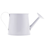 mini arrosoir de déco