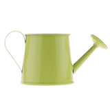 petit arrosoir décoratif table