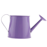 petit arrosoir bureau