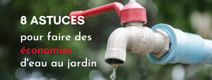 8 astuces pour faire des économies d'eau au jardin