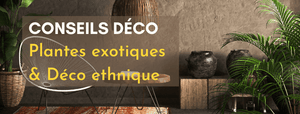 Plantes exotiques et déco ethnique