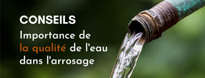 Quelle eau utiliser pour arroser ses plantes ?