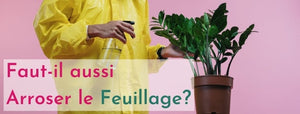 arroser les feuilles