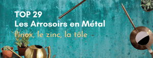 top 29 arrosoir métal