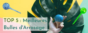top 5 bulle d'arrosage
