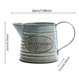 Arrosoir Vintage <br> Pichet en métal Gris - L'arroseur arrosé