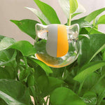 irrigateur plante