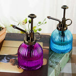 Brumisateur pour plantes