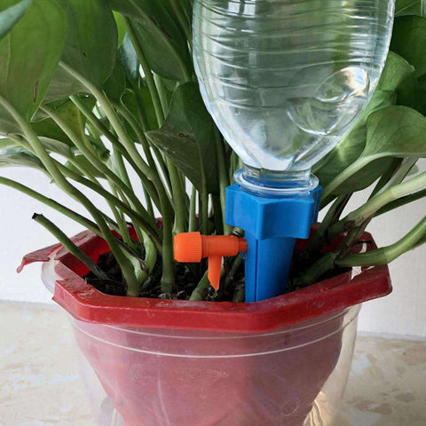 arrosage bouteille d'eau