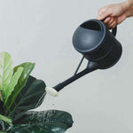 arrosoir d'intérieur plastique
