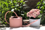 Arrosoir 1 litre rose