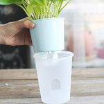 Pot arrosage automatique 