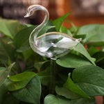 Arrosoir en verre oiseau