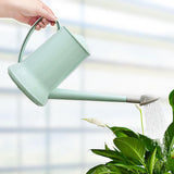 arrosage plante d'intérieur