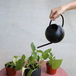 The Matte Black Pack