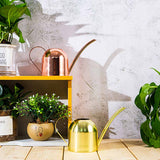 arrosoir de bureau
