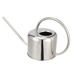 arrosoir design inox
