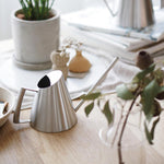 arrosoir acier inox