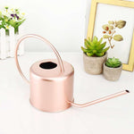 Arrosoir en Inox rose | L'arroseur arrosé