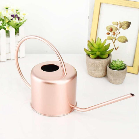 Arrosoir en Inox rose | L'arroseur arrosé