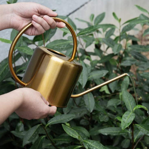 Arrosoir doré jardin