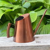 Indoor watering can Design: Copper