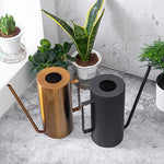 arrosoir pour plantes d'intérieur