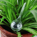 Watering bubble