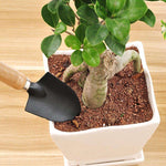 kit petit outils jardinage