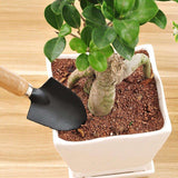 kit petit outils jardinage