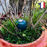 ollas poterie