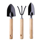 petits outils plante intérieur