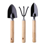 petits outils plante intérieur