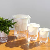arrosage par capillarité plante d'intérieur