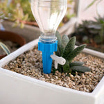 arrosage goutte a goutte jardinage appartement