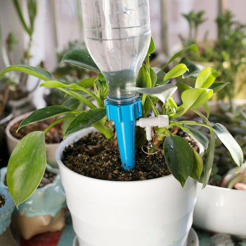 Fabriquer un arrosage goutte a goutte avec une bouteille en plastique