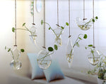 arrosage en verre