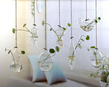 arrosage en verre