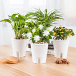 Pot de fleur irrigation